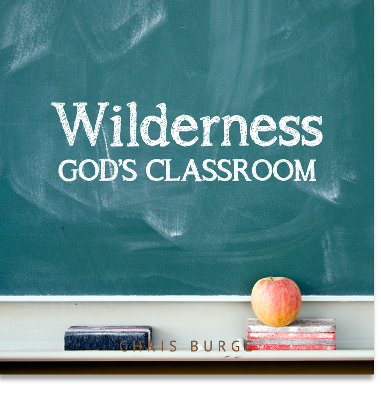 Wilderness_By_Chris_Burge-Teaching-Series-CBMI-Reach_Your_Divine_Potential-chrisburgeministries